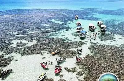 Loteamento Mar de Japaratinga — Japaratinga
